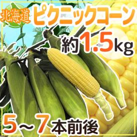 柔らかい！甘い！トウモロコシはここまで進化しました♪
