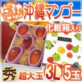 ”沖縄産 完熟マンゴー” 秀品 超大玉3L 5玉 化粧箱 沖縄マンゴー【予約 7月以降】 送料無料
