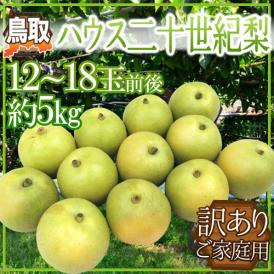 ”鳥取産 ハウス二十世紀梨” 訳あり 12～18玉前後 約5kg【予約 8月上旬以降】 送料無料