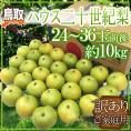 鳥取産 ”ハウス二十世紀梨” 訳あり 24～36玉前後 約10kg【予約 8月上旬以降】 送料無料