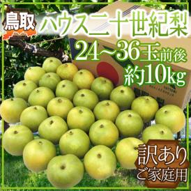 鳥取産 ”ハウス二十世紀梨” 訳あり 24～36玉前後 約10kg【予約 8月上旬以降】 送料無料