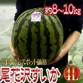 ”山形県産 尾花沢スイカ” 大玉 4Lサイズ 1玉 約8～10kg ちょっと訳あり【予約 8月以降】 送料無料