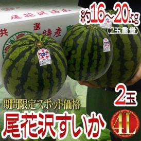 山形県産 ”尾花沢スイカ” 大玉 4Lサイズ 2玉 約16～20kg ちょっと訳あり【予約 8月以降】 送料無料
