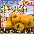 ”和歌山産 たねなし柿” 訳あり 12～15玉前後 約3kg《2箱ご購入で1kgおまけ》【予約 10月以降】 送料無料