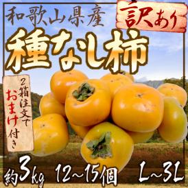 ”和歌山産 たねなし柿” 訳あり 12～15玉前後 約3kg《2箱ご購入で1kgおまけ》【予約 10月以降】 送料無料