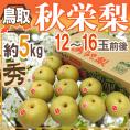 鳥取産 ”秋栄梨（あきばえ）” 秀品 大玉12～16玉前後 約5kg【予約 8月下旬以降】 送料無料
