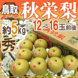 鳥取産 ”秋栄梨（あきばえ）” 秀品 大玉12～16玉前後 約5kg【予約 8月下旬以降】 送料無料