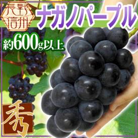 長野産 ”ナガノパープル” 秀品 2L/3L 大房 約600g以上 ぶどう《3房購入で送料無料》【予約 9月以降】
