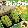 ”シャインマスカット” 秀品 2pc 約700g 産地厳選 パック入り【予約 7月中下旬以降】 送料無料
