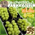 ”シャインマスカット” 秀品 4pc 約1.4kg 産地厳選 パック入り【予約 7月中下旬以降】 送料無料