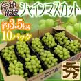 ”シャインマスカット” 秀品 10pc 約3.5kg 産地厳選 パック入り【予約 8月末以降】 送料無料