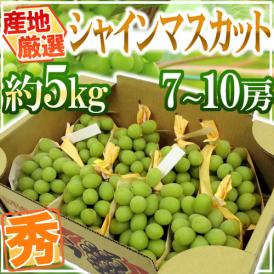 ”シャインマスカット” 秀品 7～10房 約5kg 産地厳選【予約 8月下旬以降】 送料無料