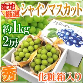 ”シャインマスカット” 秀品 2房 約1kg以上 化粧箱 産地厳選【予約 8月下旬以降】 送料無料
