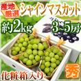 ”シャインマスカット” 秀品 3～5房 約2kg 化粧箱 産地厳選【予約 8月下旬以降】 送料無料