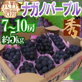 長野産 ”ナガノパープル” 秀品 7〜10房 約5kg ぶどう【予約 9月以降】[M1] 送料無料