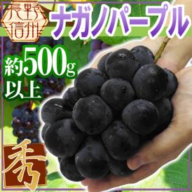 長野産 ”ナガノパープル” 秀品 大房 約500g以上 ぶどう【予約 9月以降】