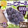 ”岡山産 種なしニューピオーネ” 1房 約600g以上 ちょっと訳あり ぶどう《4房購入で送料無料！7房購入で1房おまけ》【予約 9月以降】