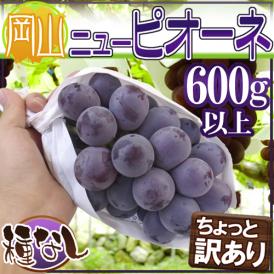 ”岡山産 種なしニューピオーネ” 1房 約600g以上 ちょっと訳あり ぶどう《4房購入で送料無料！7房購入で1房おまけ》【予約 9月以降】