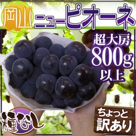 ”岡山産 種なしニューピオーネ” 超大房 1房 約800g以上 ちょっと訳あり ぶどう《4房購入で送料無料！5房購入で1房おまけ》【予約 9月以降】