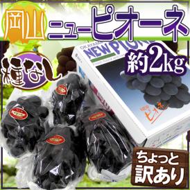 岡山産 ”種なしニューピオーネ” 3～6房前後 約2kg ちょっと訳あり 化粧箱 ぶどう【予約 9月以降】 送料無料