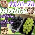 ”シャインマスカット＆ナガノパープル” 秀品 1pc約350g＋1pc約350g 合計2pc約700g 産地厳選 食べ比べ ぶどう【予約 9月以降】 送料無料