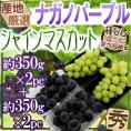 ”シャインマスカット＆ナガノパープル” 秀品 約350g×2pc＋約350g×2pc 合計4pc約1.4kg 産地厳選 食べ比べ ぶどう【予約 9月以降】 送料無料