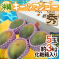 沖縄産 ”キーツマンゴー” 秀品 5玉 約3kg 化粧箱入り【予約 8月中旬以降】 送料無料