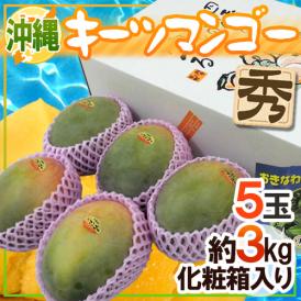 沖縄産 ”キーツマンゴー” 秀品 5玉 約3kg 化粧箱入り【予約 8月中旬以降】 送料無料