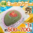 沖縄産 ”キーツマンゴー” 秀品 1玉 約500〜700g パック入り【予約 8月中旬以降】
