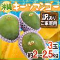 沖縄産 ”キーツマンゴー” 訳あり 3玉 約2〜2.5kg【予約 8月中旬以降】 送料無料