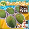 沖縄産 ”キーツマンゴー” 訳あり 5玉 約3〜4kg【予約 8月中旬以降】 送料無料