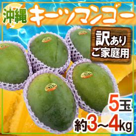 沖縄産 ”キーツマンゴー” 訳あり 5玉 約3〜4kg【予約 8月中旬以降】 送料無料
