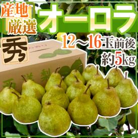”オーロラ” 秀品 12〜16玉前後 約5kg 産地厳選 洋梨【予約 9月以降】 送料無料