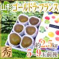 山形産 ”ゴールドラフランス” 秀品 5～9玉前後 約2.5kg 化粧箱 洋梨【予約 11月下旬以降】 送料無料
