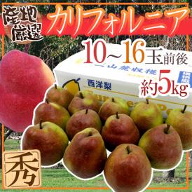 赤い洋梨 ”カリフォルニア” 秀品 10～16玉前後 約5kg 産地厳選【予約 9月下旬以降】 送料無料
