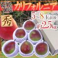 赤い洋梨 ”カリフォルニア” 秀品 5～8玉前後 約2.5kg 化粧箱 産地厳選【予約 9月下旬以降】 送料無料