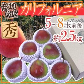 赤い洋梨 ”カリフォルニア” 秀品 5～8玉前後 約2.5kg 化粧箱 産地厳選【予約 9月下旬以降】 送料無料