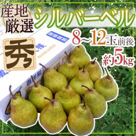 ”シルバーベル” 秀品 8～12玉前後 約5kg 産地厳選 洋梨【予約 12月以降】 送料無料