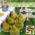 ”シルバーベル” 秀品 4～6玉前後 約2.5kg 化粧箱 産地厳選 洋梨【予約 12月以降】 送料無料