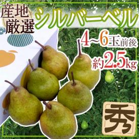 ”シルバーベル” 秀品 4～6玉前後 約2.5kg 化粧箱 産地厳選 洋梨【予約 12月以降】 送料無料