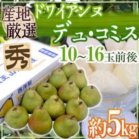 ”ドワイアンヌ・デュ・コミス” 秀品 10〜16玉前後 約5kg 産地厳選 洋梨【予約 10月以降】 送料無料