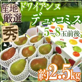 ”ドワイアンヌ・デュ・コミス” 秀品 5〜8玉前後 約2.5kg 化粧箱 産地厳選 洋梨【予約 10月以降】 送料無料
