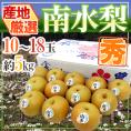 ”南水梨” 秀品 10～18玉 約5kg 産地厳選【予約 8月末以降】 送料無料