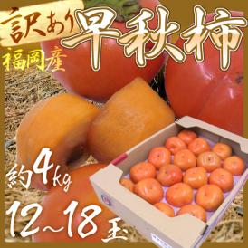 福岡産 ”早秋柿” 訳あり 12～18玉 約4kg【予約 10月以降】 送料無料