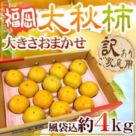 福岡産 ”太秋柿” 訳あり 風袋込約4kg 大きさおまかせ【予約 10月以降】 送料無料