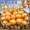 和歌山産 ”たねなし柿” 秀品 L～2Lサイズ 32～36玉 約7.5kg【予約 10月以降】 送料無料