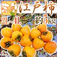 干し柿・吊るし柿用 ”奈良県西吉野 渋柿 江戸柿” 大玉2L～4L 約5kg【予約 11月以降】 送料無料