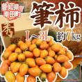 愛知県 幸田町 ”筆柿” 秀品 L～3L 約7kg ふで柿【予約 9月下旬以降】 送料無料