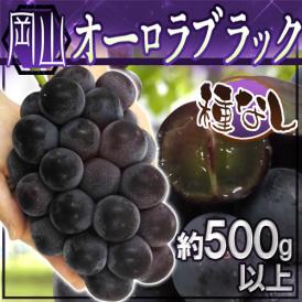 ”岡山産 オーロラブラック” 大房 約500g以上 ぶどう【予約 9月以降】