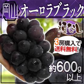 ”岡山産 オーロラブラック” 大房 約600g以上 ぶどう《3房購入で送料無料》【予約 9月以降】
